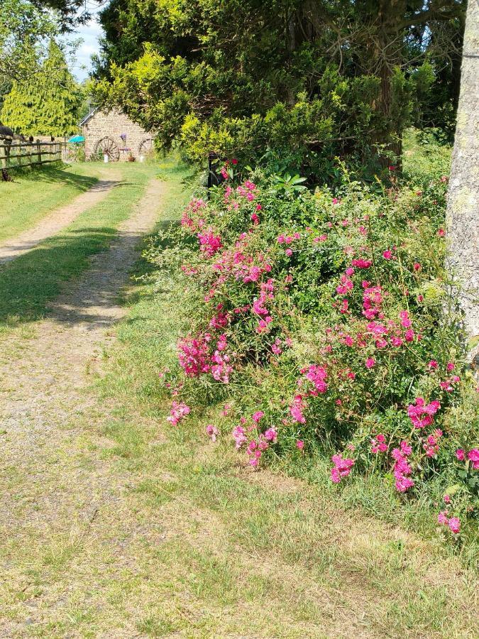 Les Petits Champs Lejlighed Buais-les-Monts Eksteriør billede